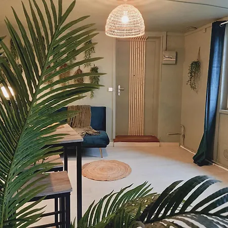 Apartment A 2 Pas Du Port, L'acapulco